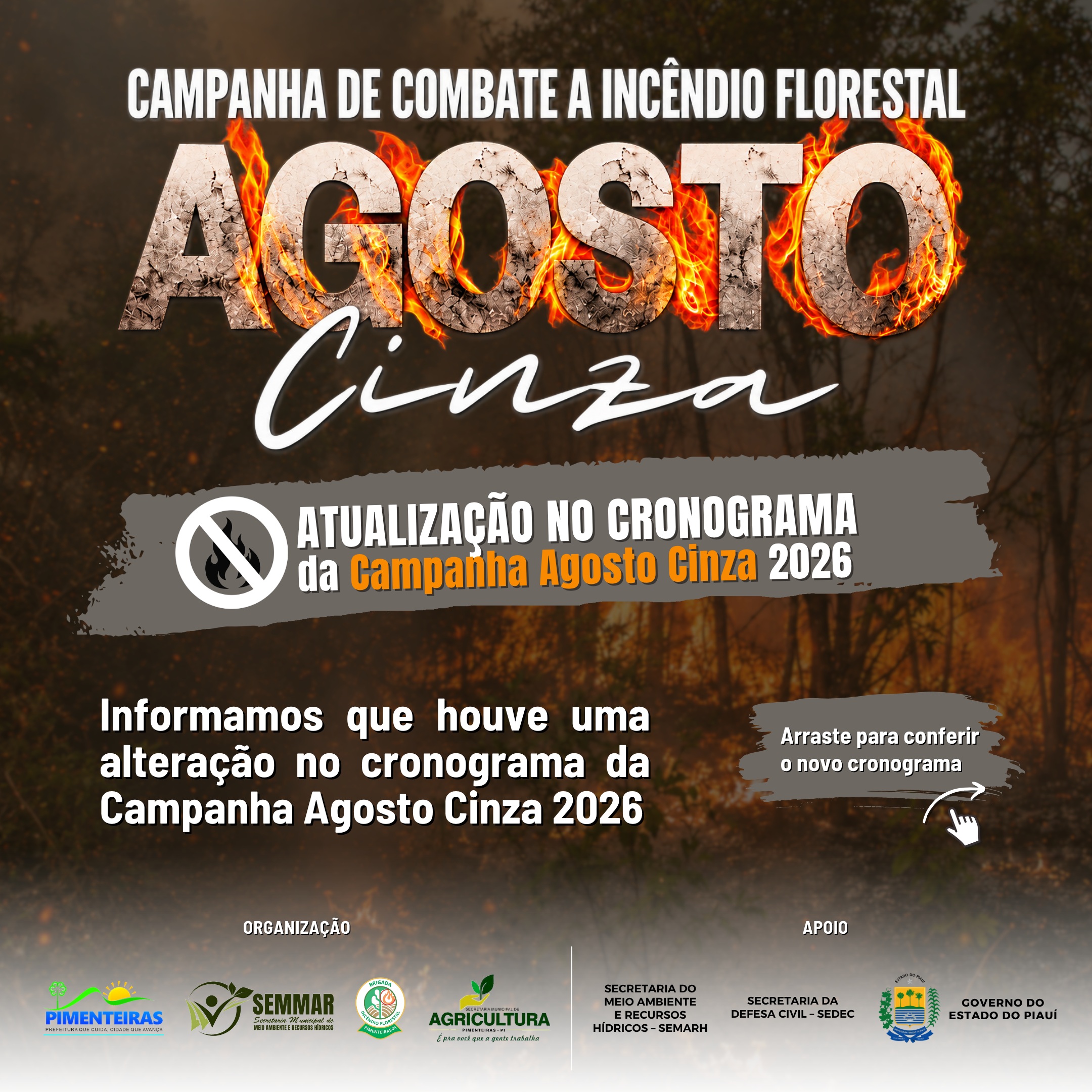 Notícia
